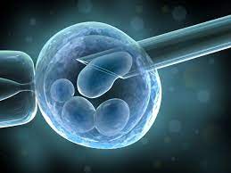 best embryo transfer  hospital in delhi